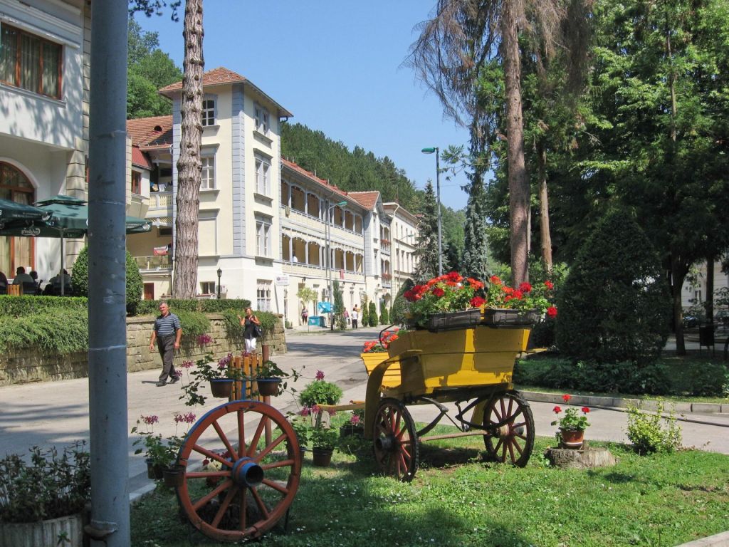 Spa and Wellness Centre Ribarska Banja