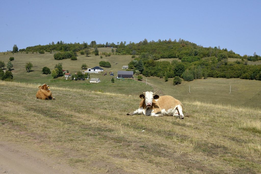 Time Visit Pešter Plateau, Pešter Plateau, Sjenica