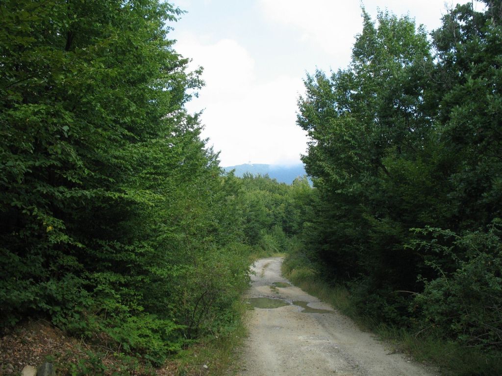 Negotin, Eastern Serbia