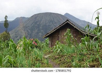 Jadovnik Mountain Hut Arranging Longer Stay, Sopotnica Waterfalls