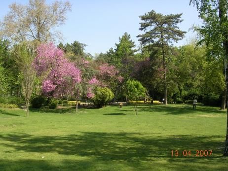 When Go Danube Park, Danube Park (Dunavski Park), Novi Sad