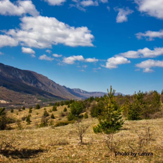 Sources Last Checked, Jelovica Spring, Stara Planina