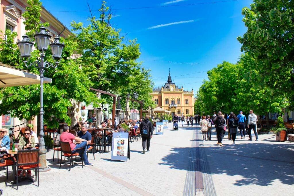 Zmaj Jovina, Novi Sad | Pedestrian Street and the White Lion
