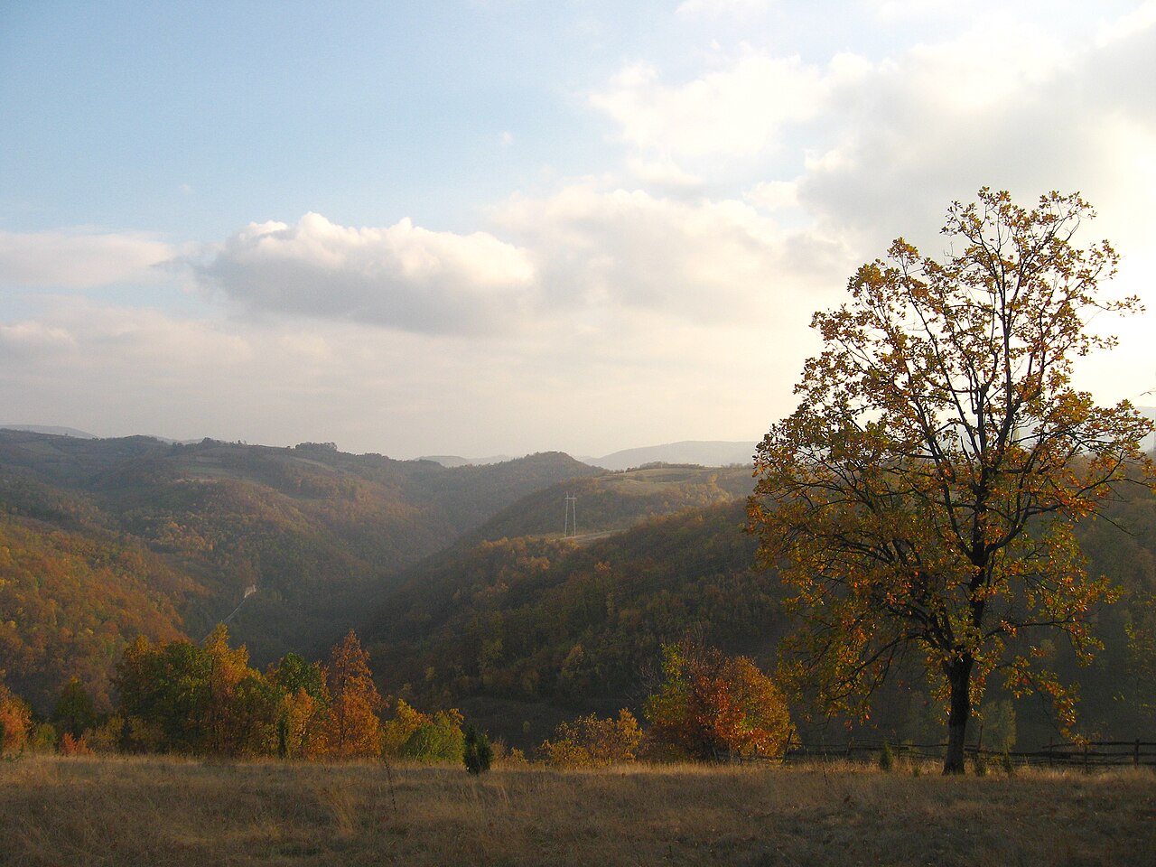Gradac River and Canyon