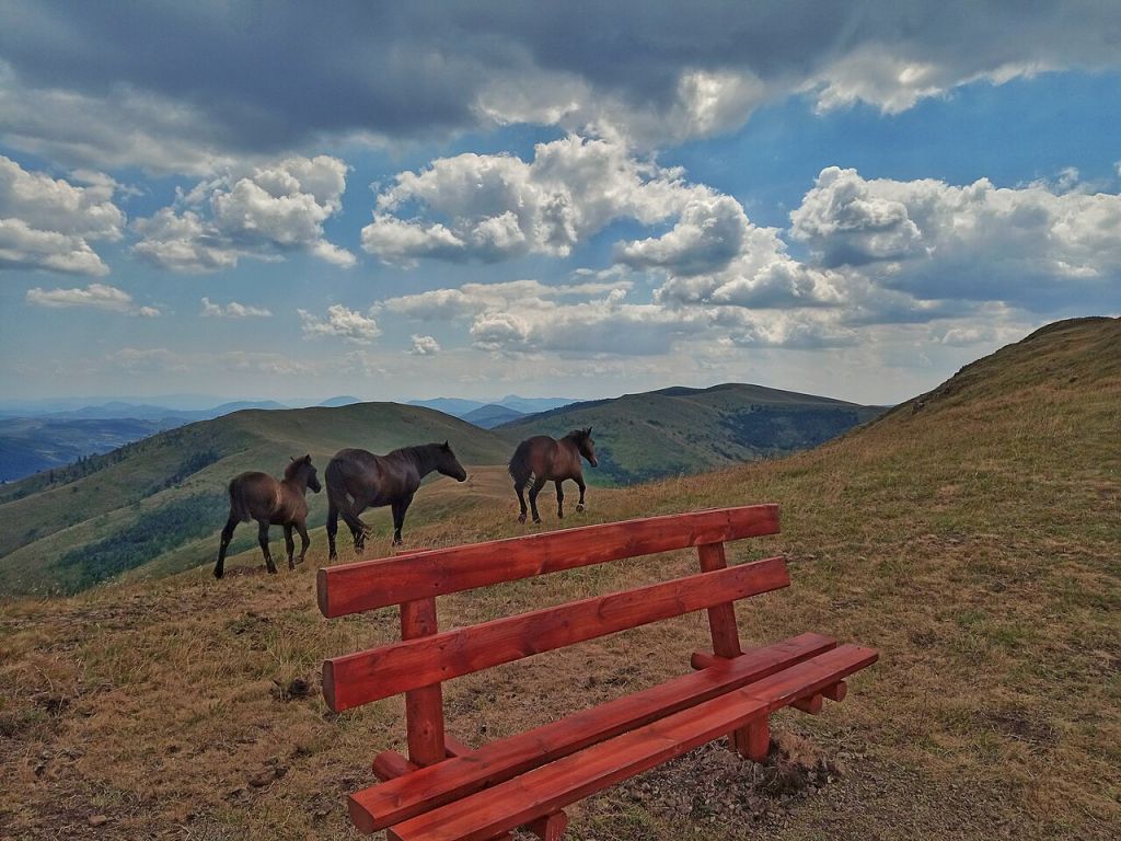 Zlatibor