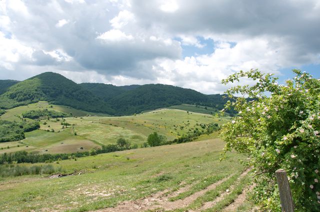 Pešter Plateau, Pešter Plateau, Sjenica