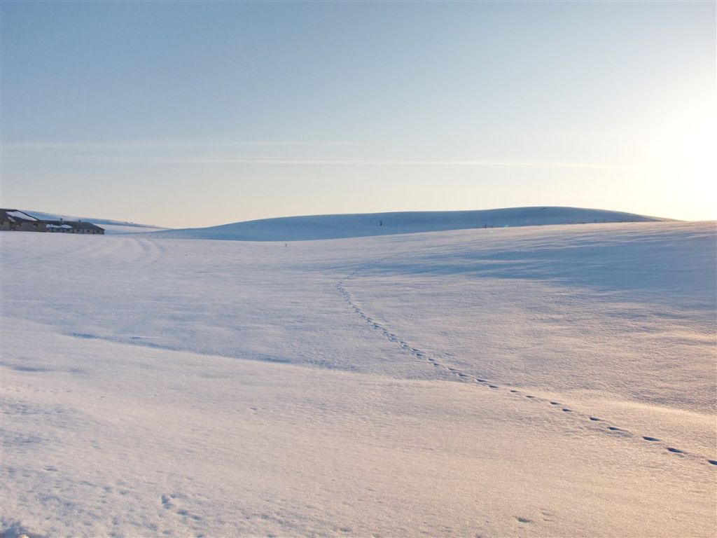Open Pastures Harsh Seasons On Pešter Plateau, Pešter Plateau, Sjenica