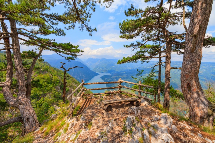 Banjska Stena viewpoint, Tara National Park, Serbia