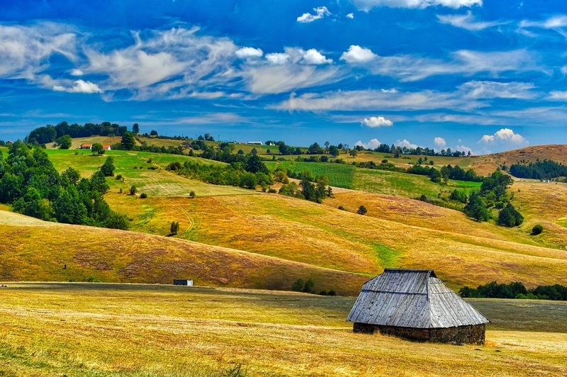 Zlatibor mountain plateau landscape, Serbia
